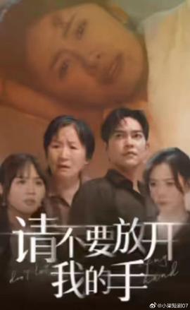 请不要放开我的手(全集)