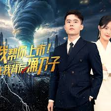 我帮你上市！你在我背后捅刀子(全集)