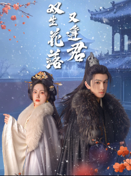 双生花落又逢君(全集)