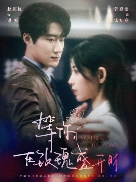 等你在玫瑰盛开时(全集)