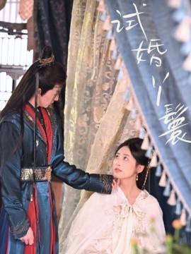 试婚丫鬟(全集)