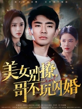 美女别撩，哥不玩闪婚(全集)