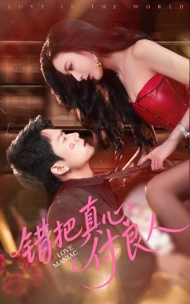 错把真心付良人(全集)