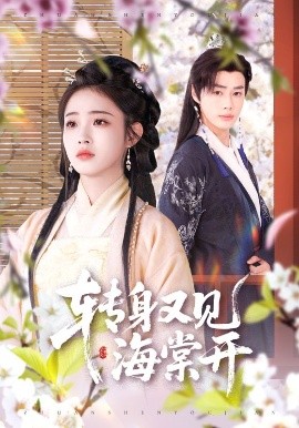 转身又见海棠开(全集)