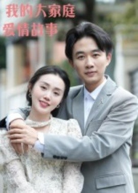 我的大家庭爱情故事(全集)