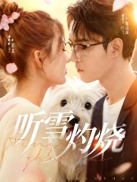 听雪灼烧(全集)